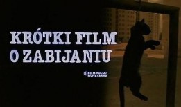 爱钱大锤最新爆料,最新爆料背后的惊人真相